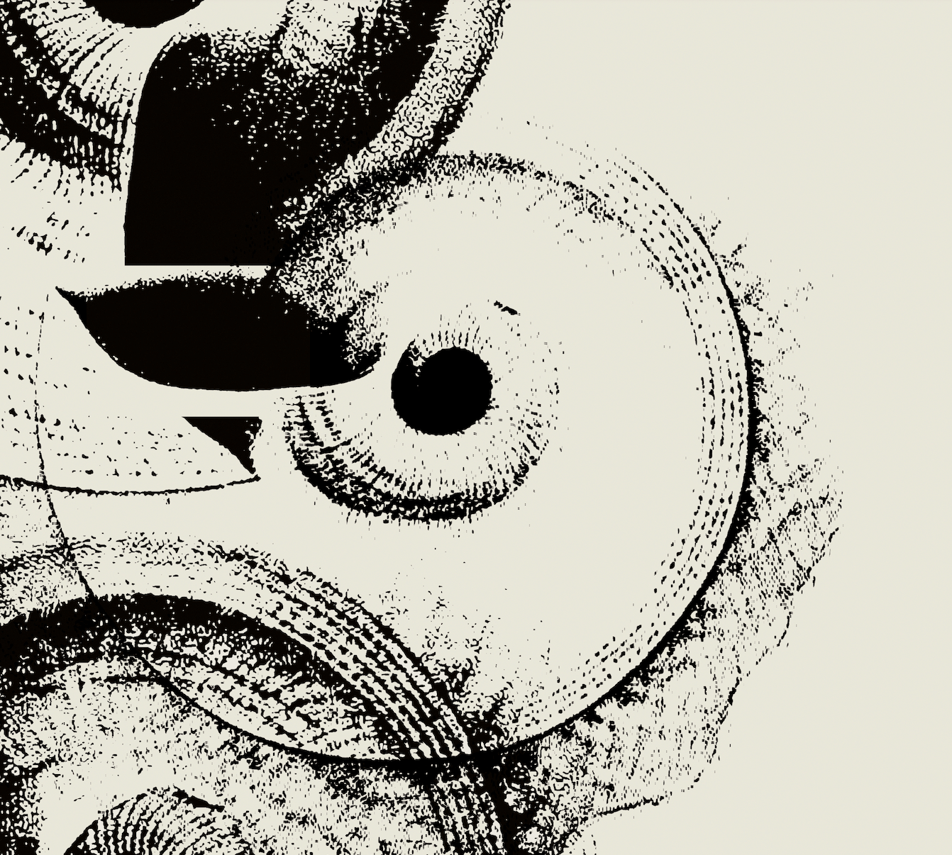 Ammonite | 08 | Fine Art Print