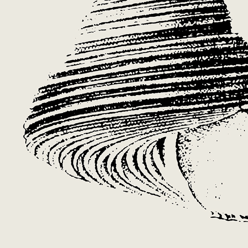 Coastal Drift | 01 | Fine Art Print