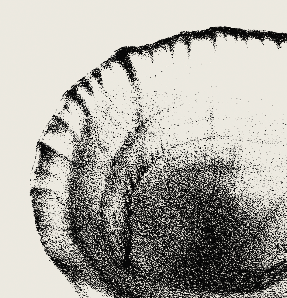 Coastal Drift | 11 | Fine Art Print