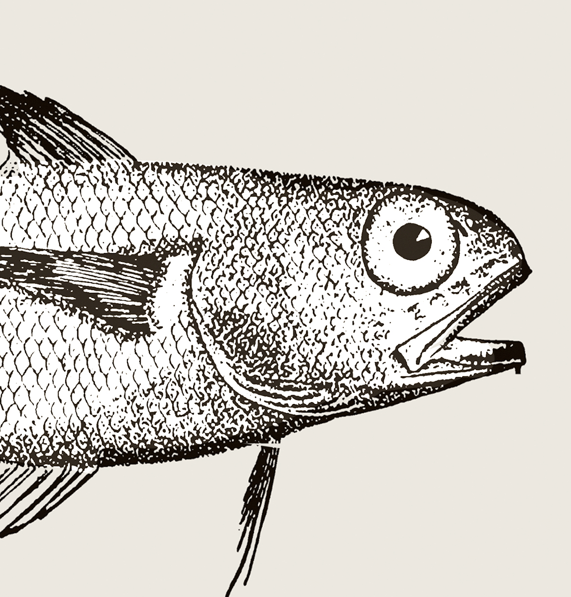 Pisces | 14 | Fine Art Print