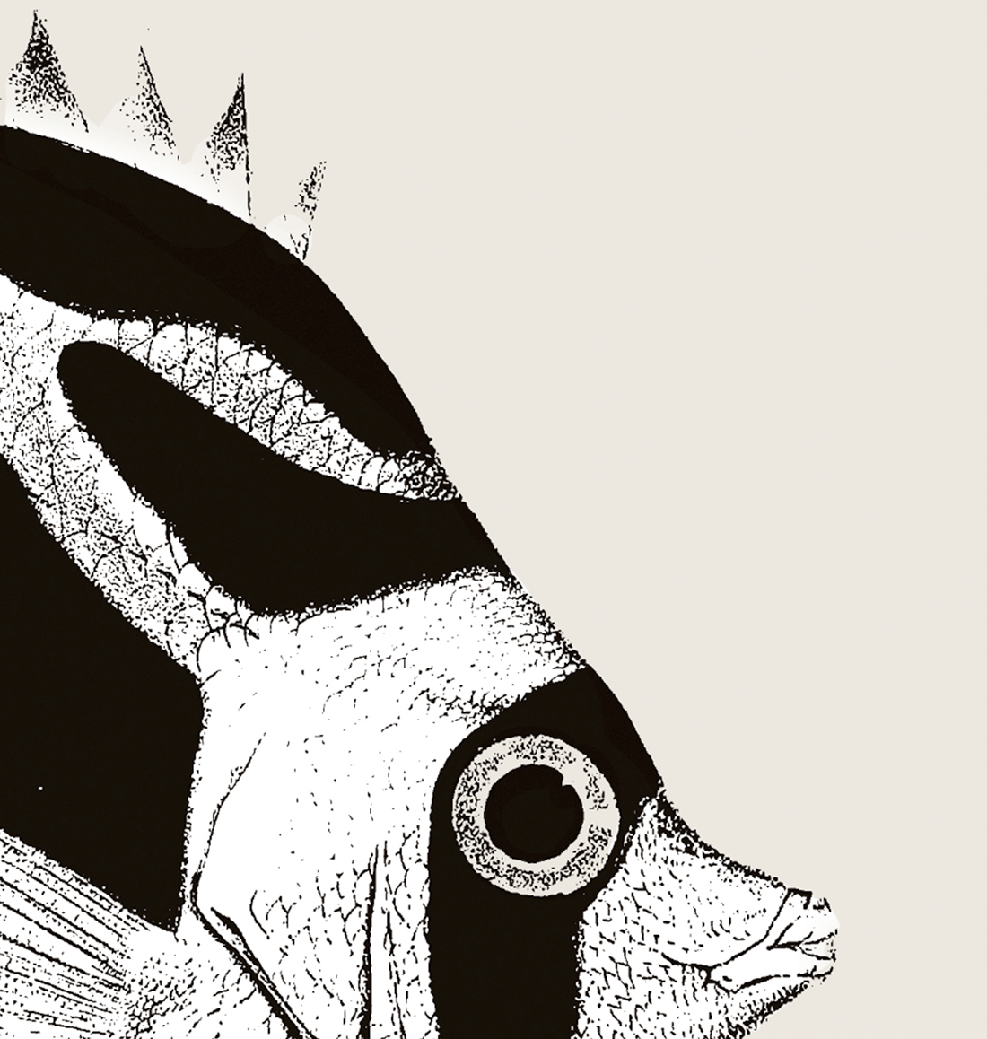 Pisces | 02 | Fine Art Print