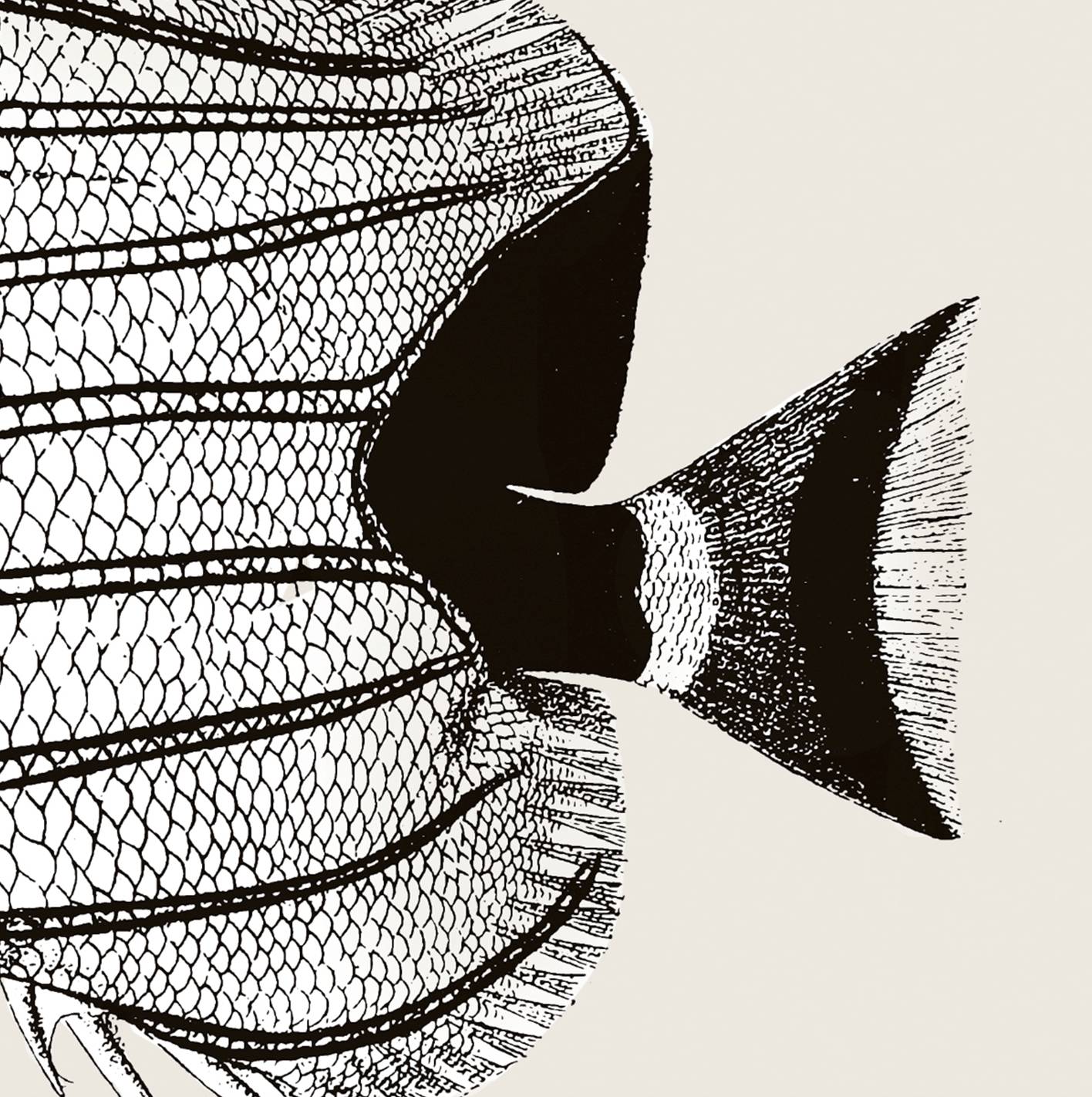 Pisces | 03 | Fine Art Print