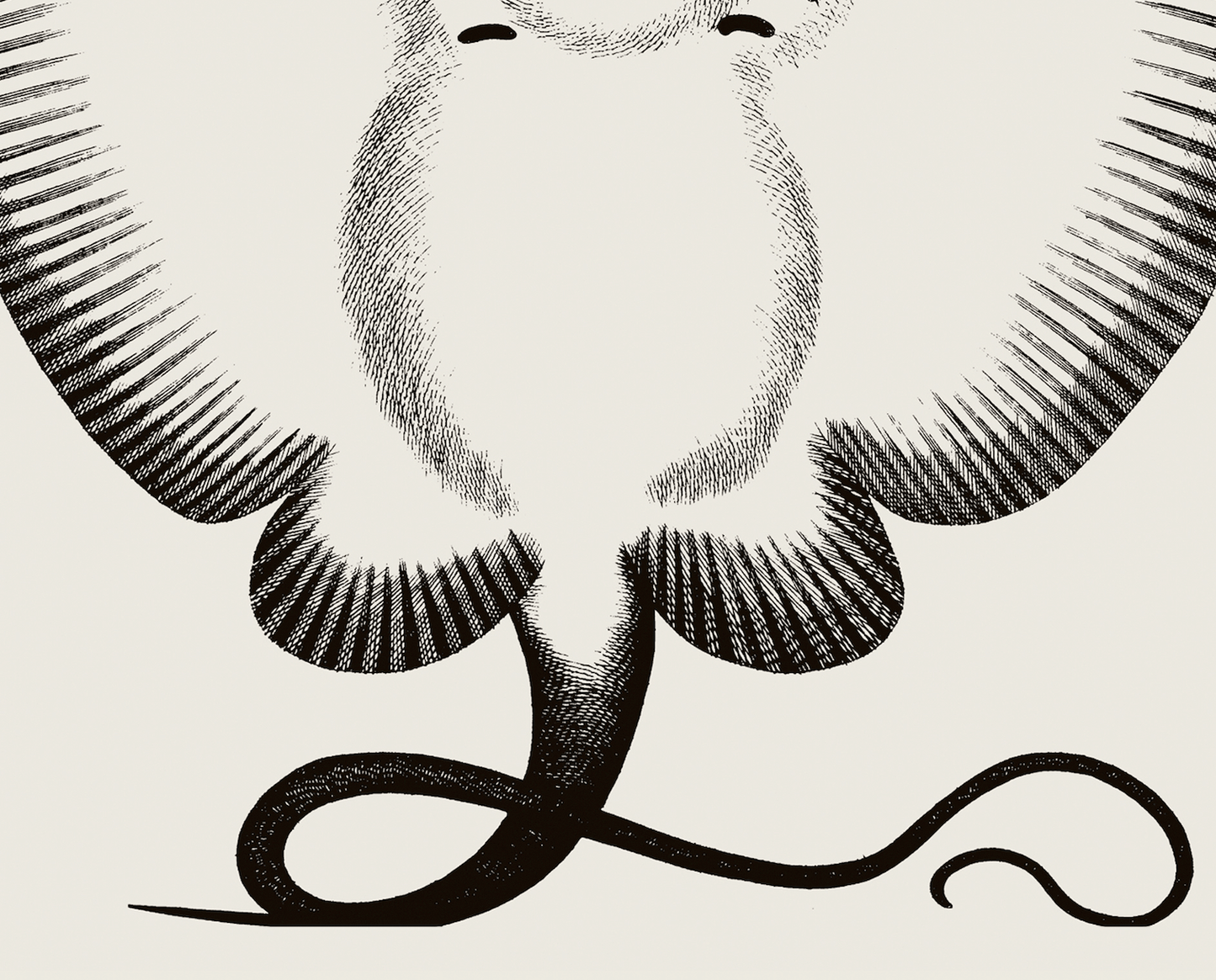 Pisces | 10 | Fine Art Print