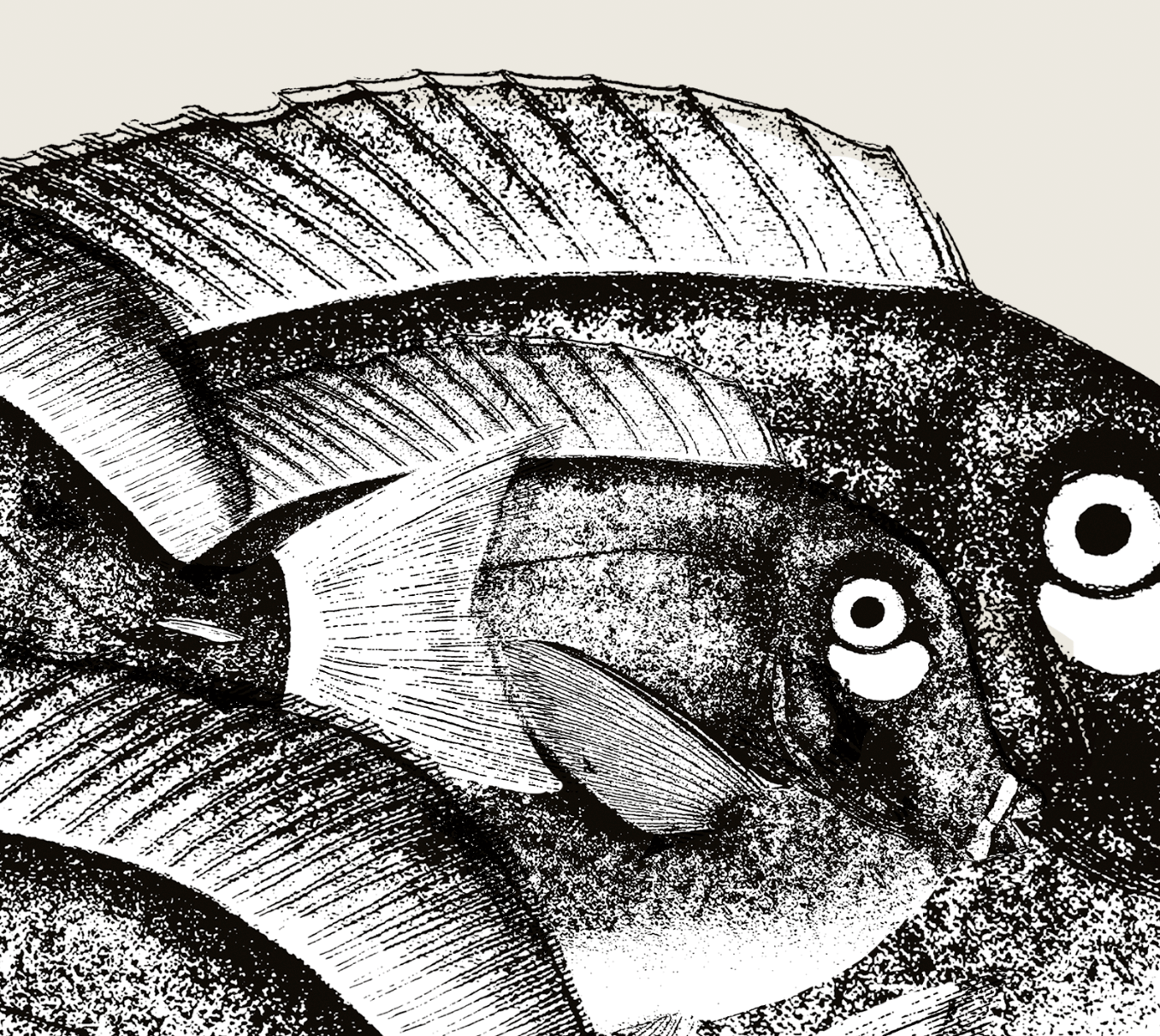 Pisces | 07 | Fine Art Print
