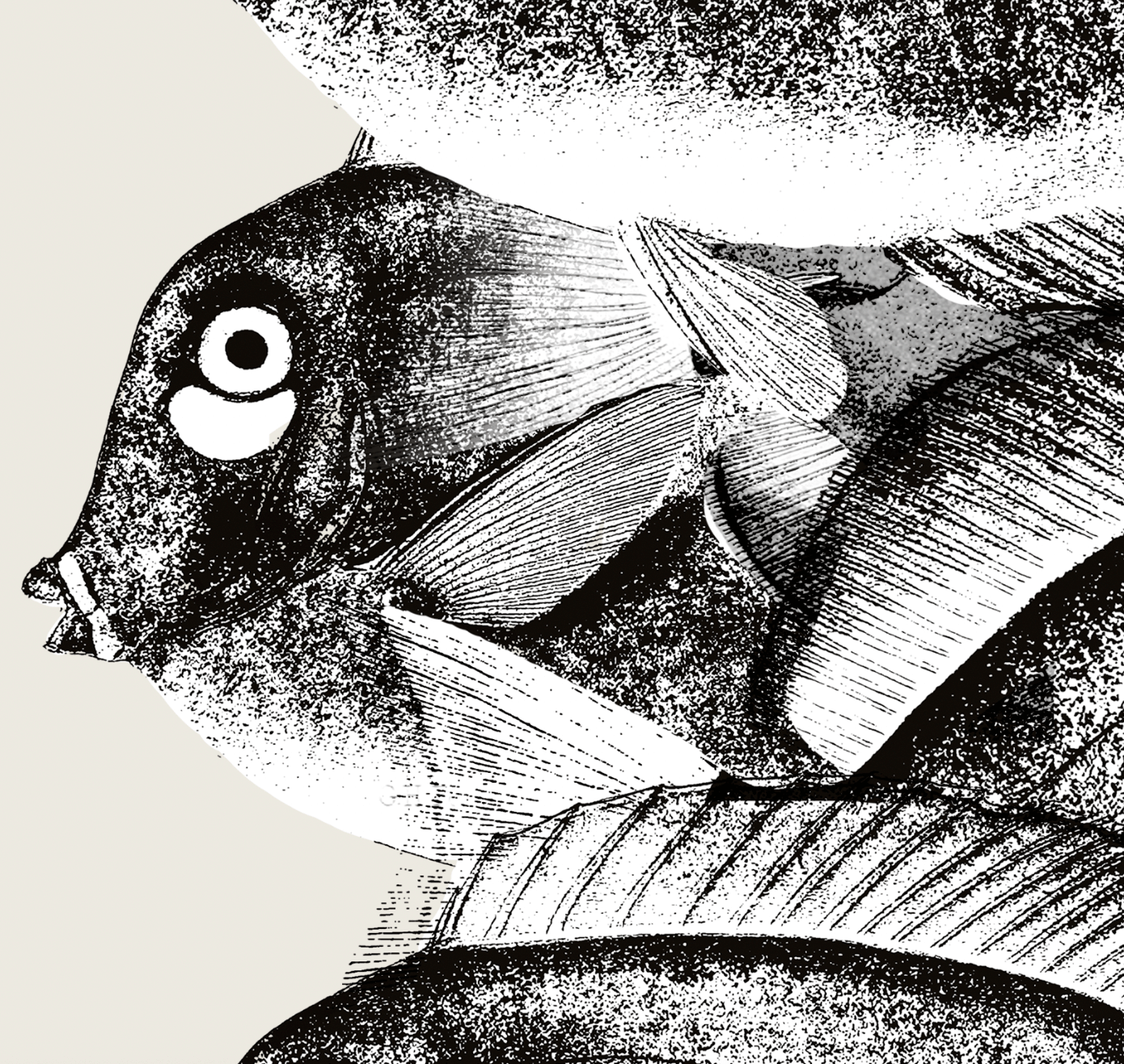 Pisces | 07 | Fine Art Print