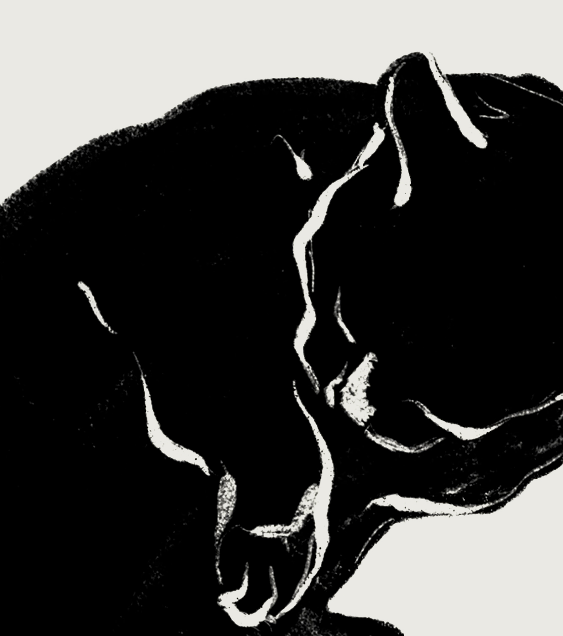 Nanoshima | 09 | Fine Art Print