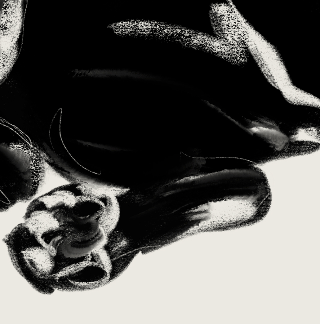 Nanoshima | 01 | Fine Art Print