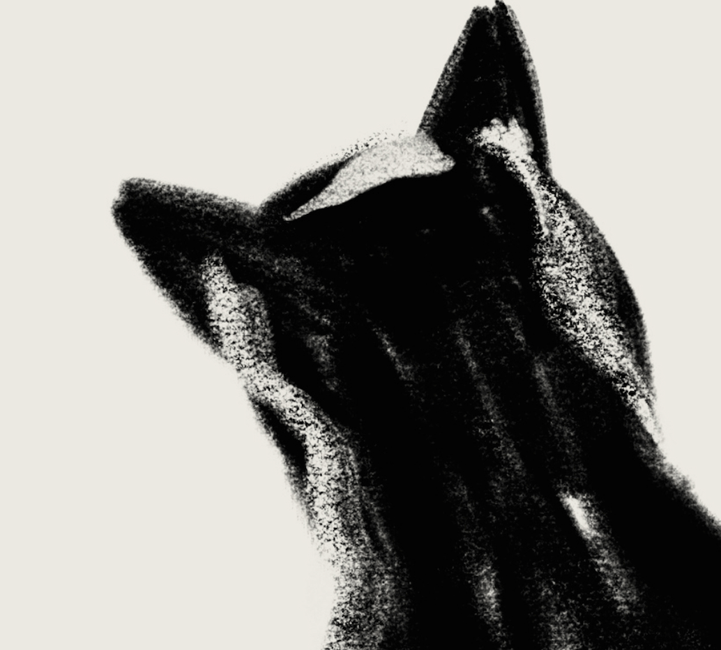 Nanoshima | 04 | Fine Art Print