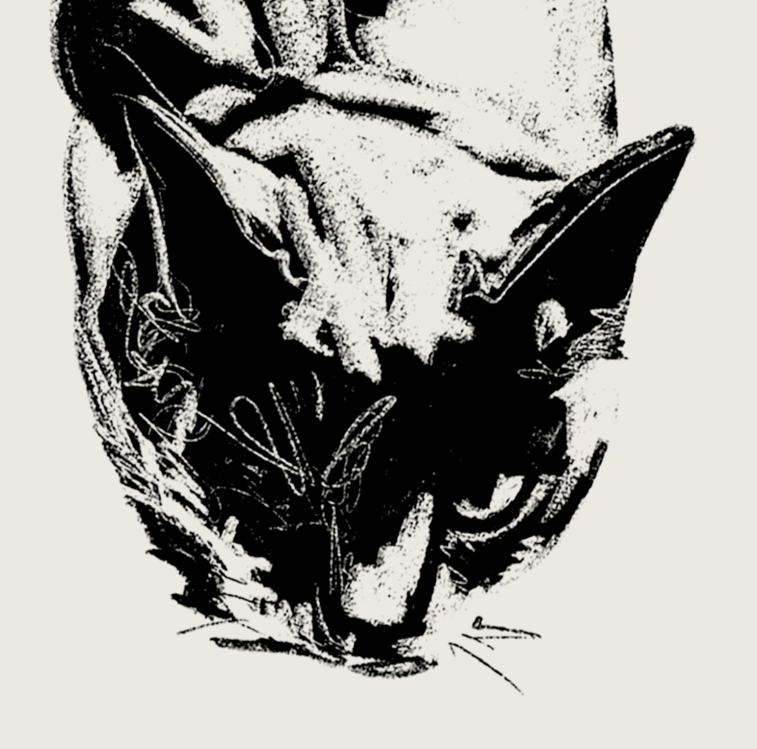Nanoshima | 05 | Fine Art Print