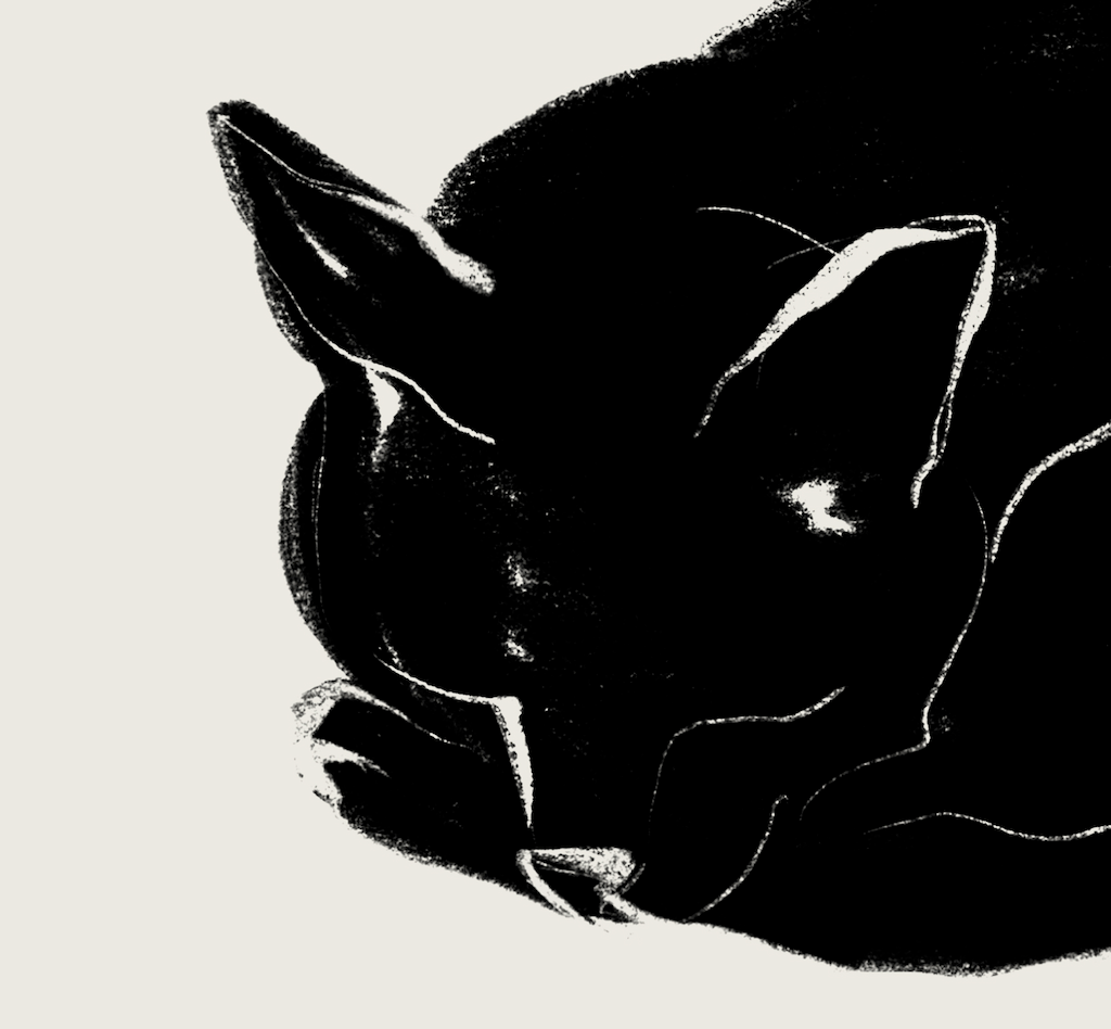 Nanoshima | 03 | Fine Art Print