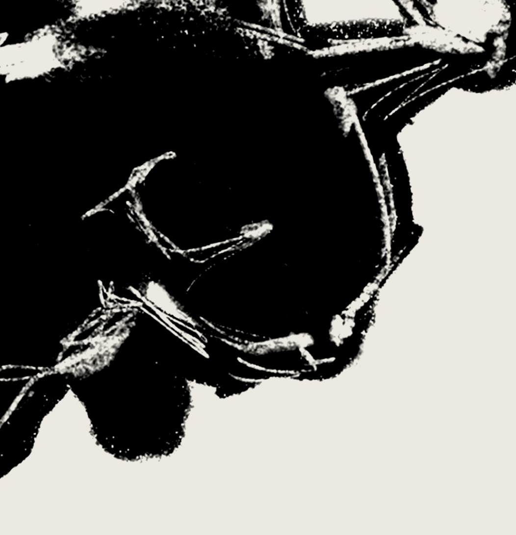 Nanoshima | 10 | Fine Art Print