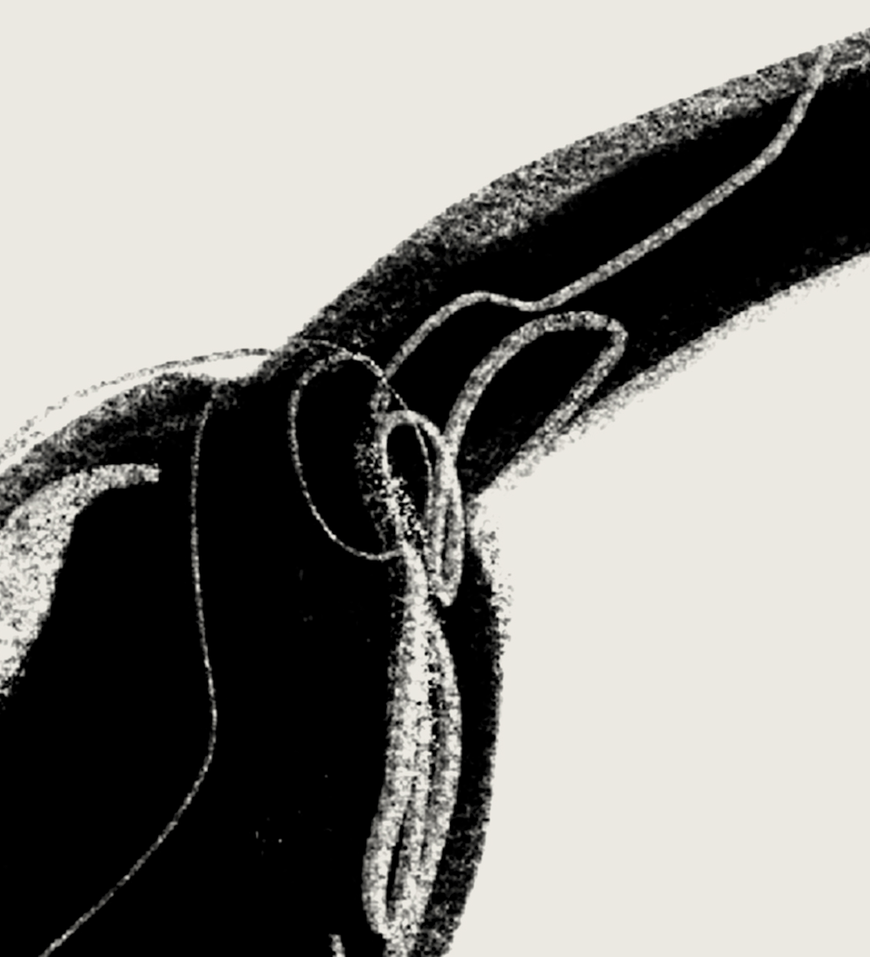 Nanoshima | 07 | Fine Art Print