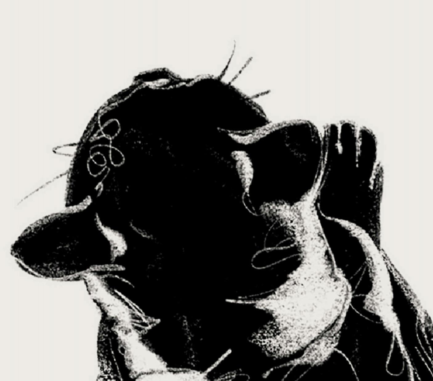 Nanoshima | 06 | Fine Art Print