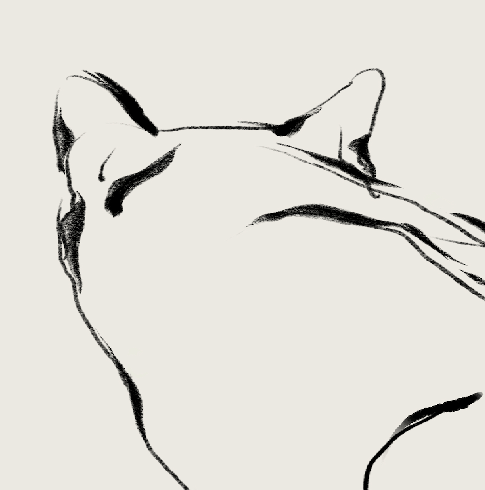 Mitsu | 08 | Fine Art Print