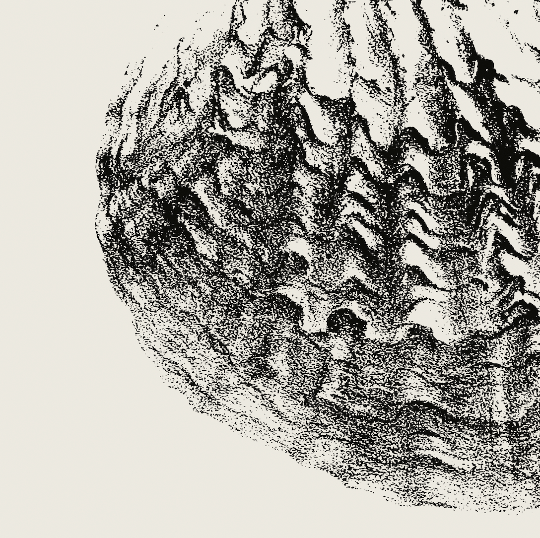 Coastal Drift | 10 | Fine Art Print