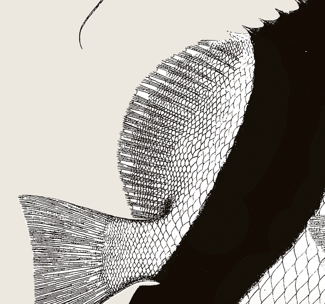 Pisces | 01 | Fine Art Print