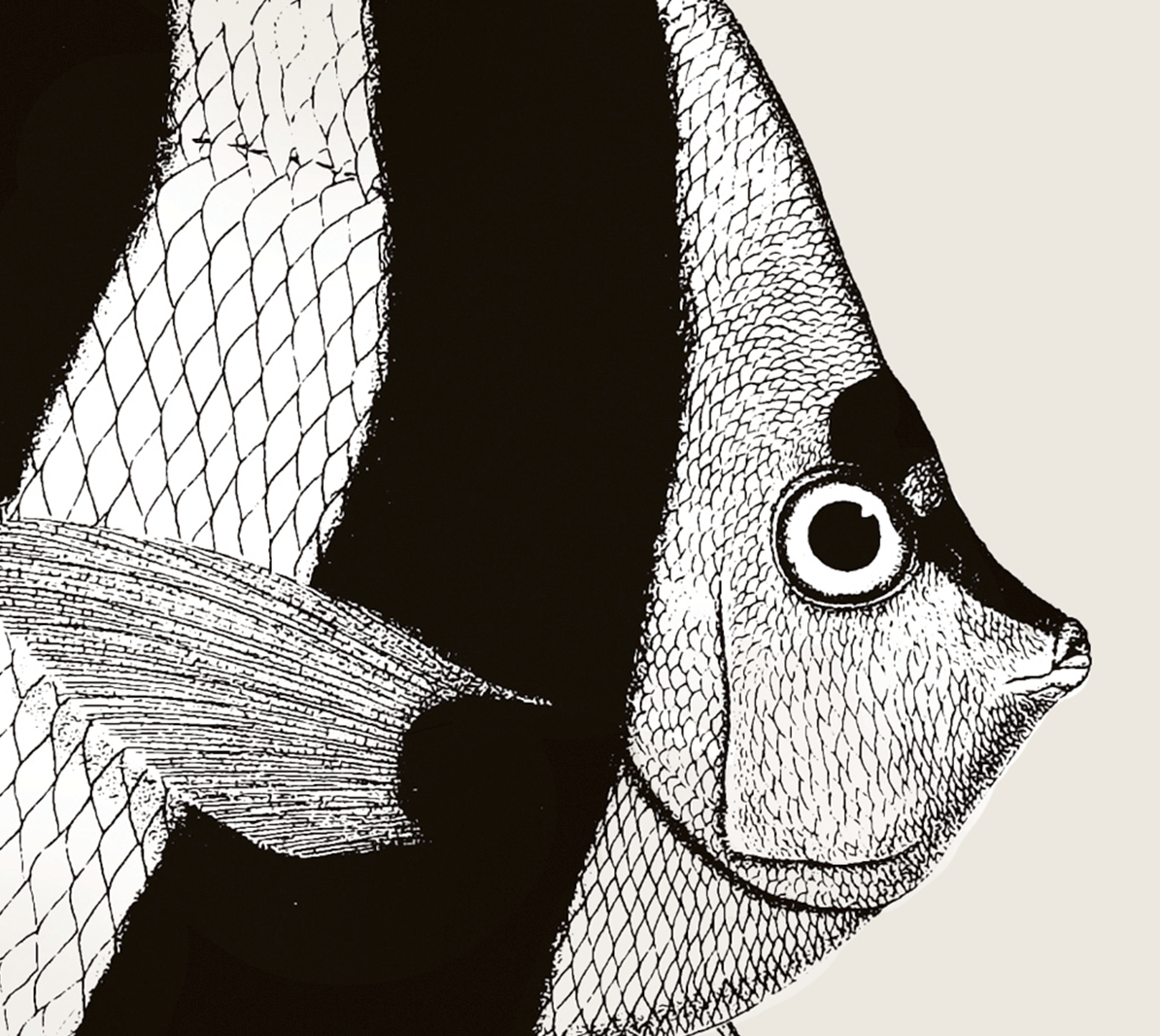 Pisces | 01 | Fine Art Print