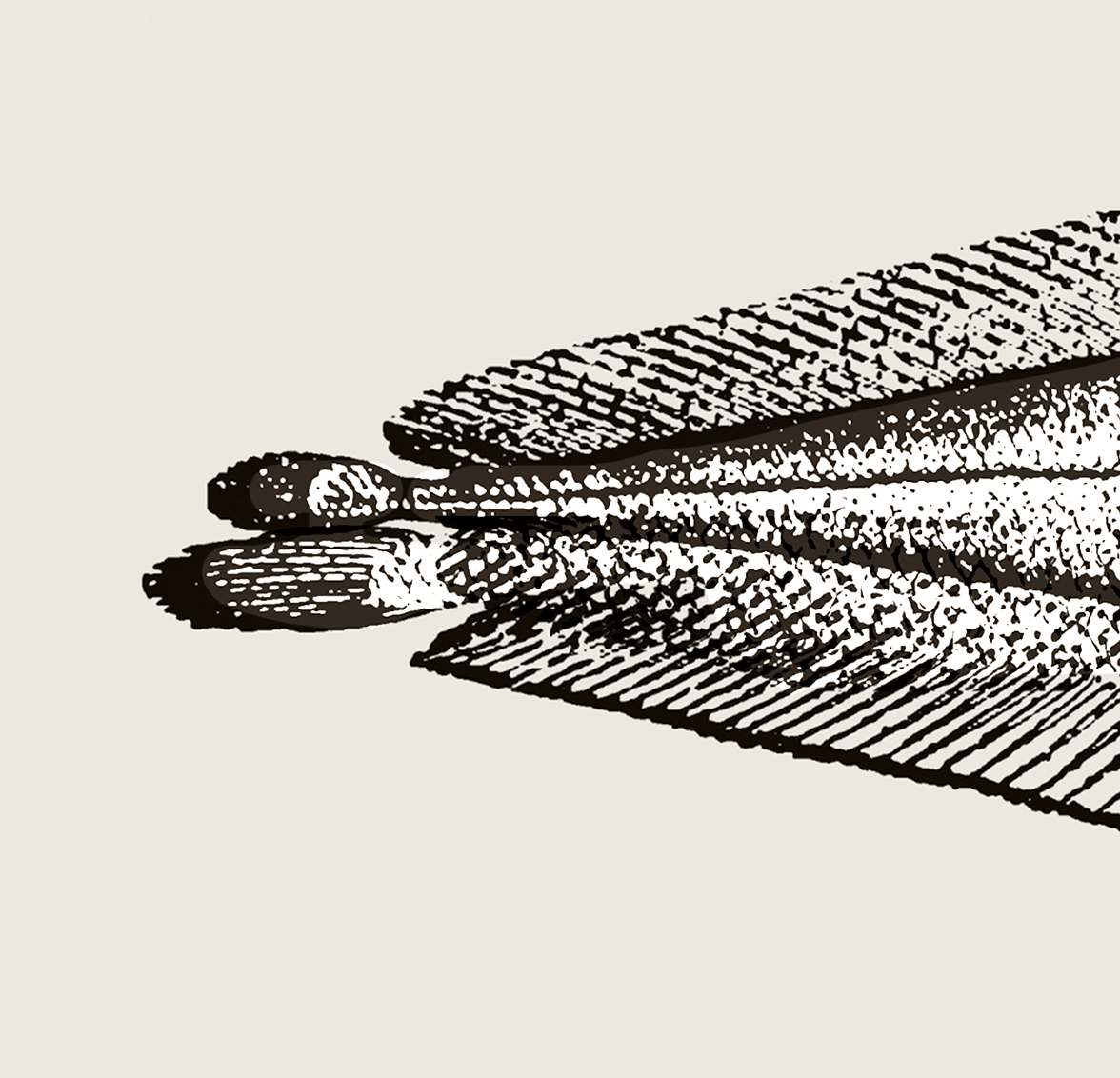 Pisces | 14 | Fine Art Print