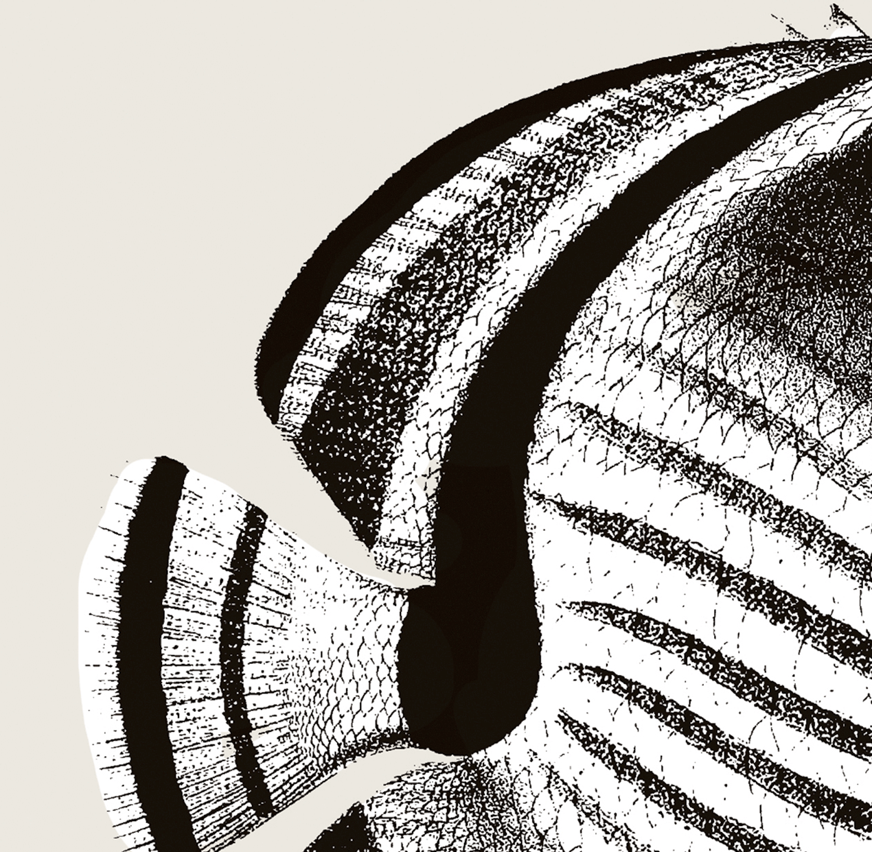 Pisces | 02 | Fine Art Print
