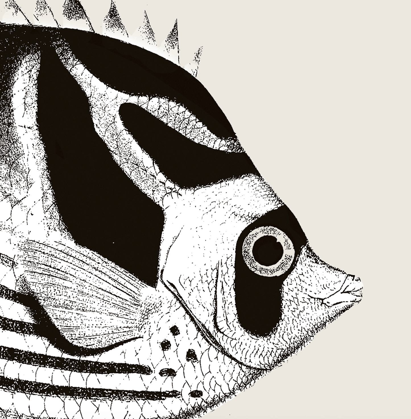 Pisces | 02 | Fine Art Print