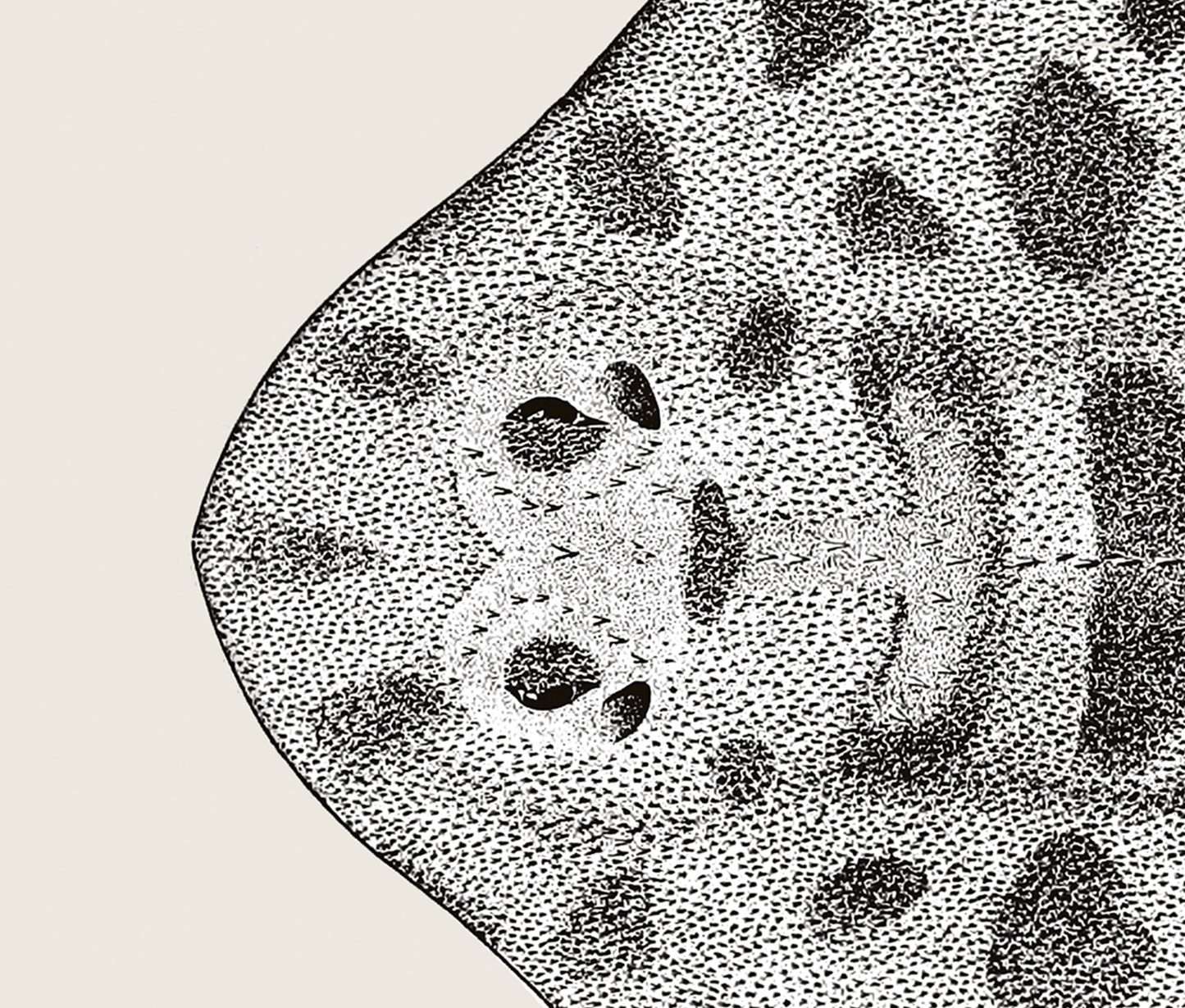 Pisces | 11 | Fine Art Print