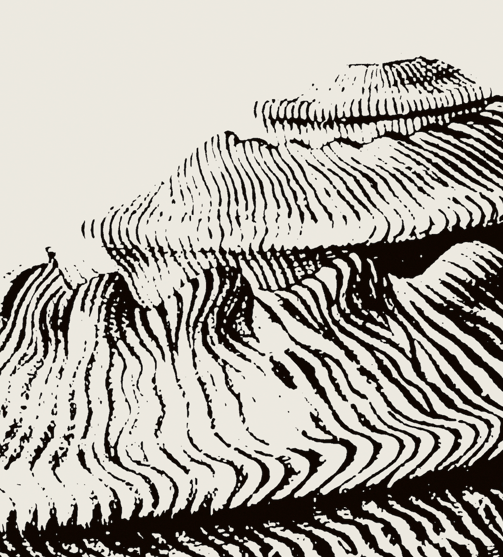 Coastal Drift | 21 | Fine Art Print