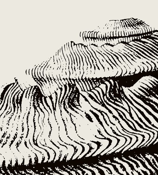 Coastal Drift | 21 | Fine Art Print