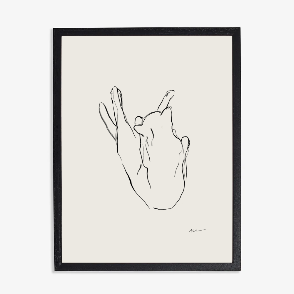 Framed line art of a cat on a white background