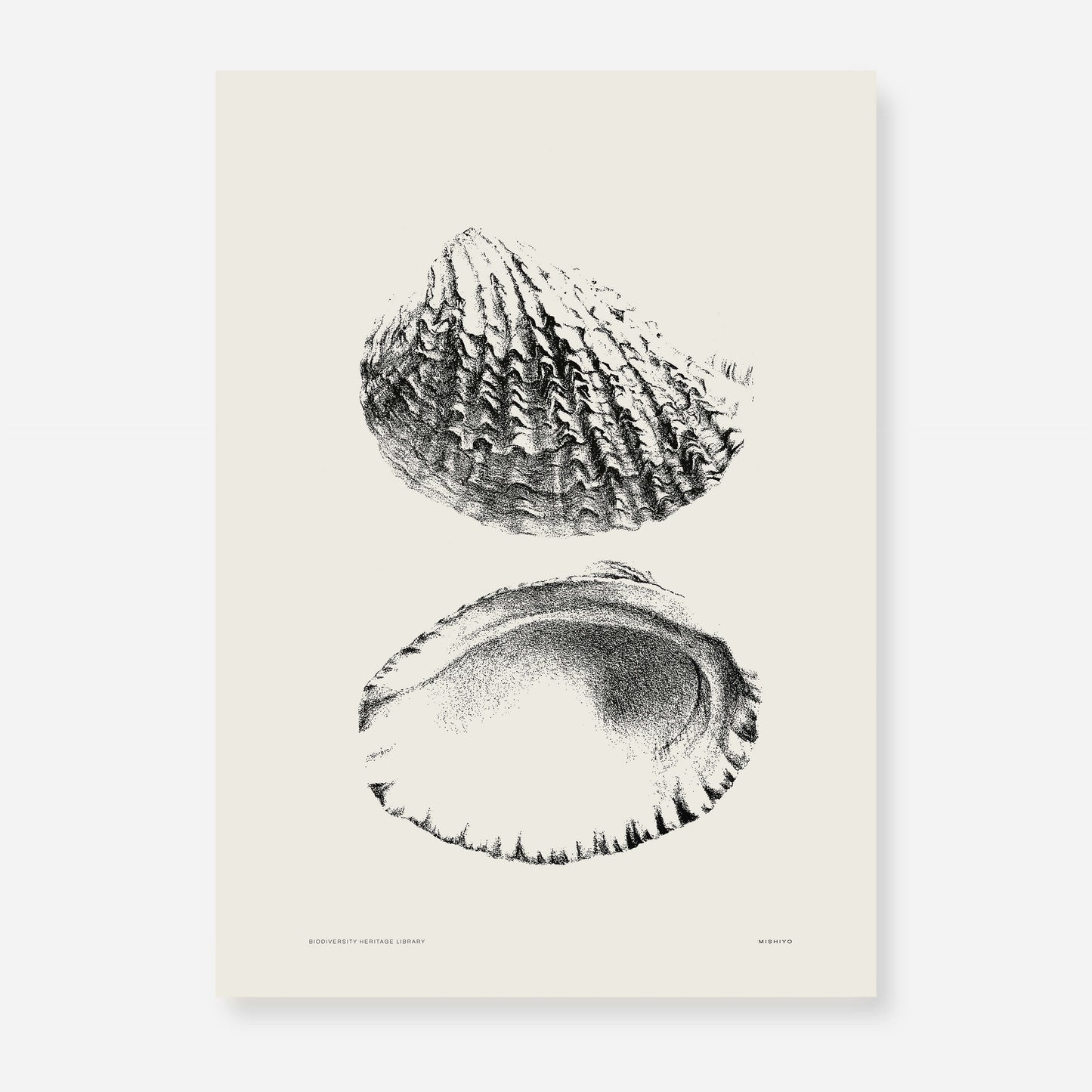 Coastal Drift | 10 | Fine Art Print