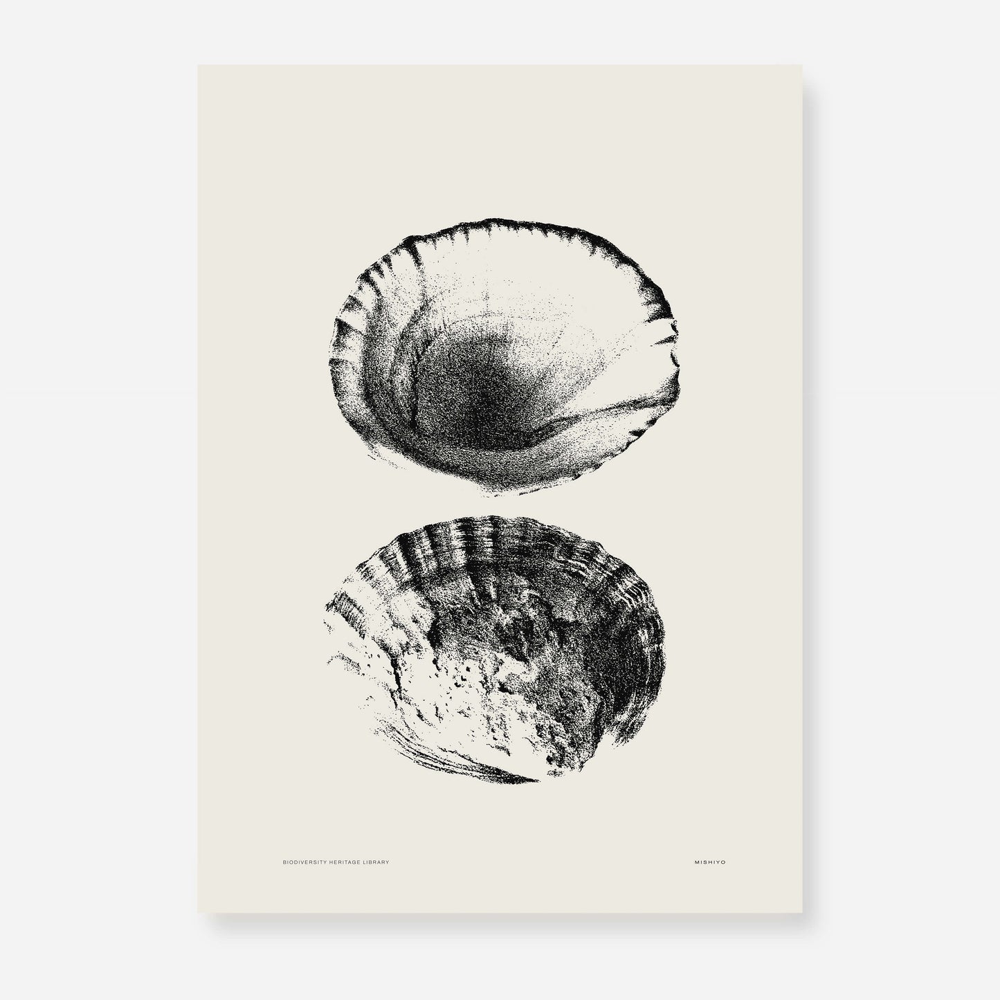 Coastal Drift | 11 | Fine Art Print