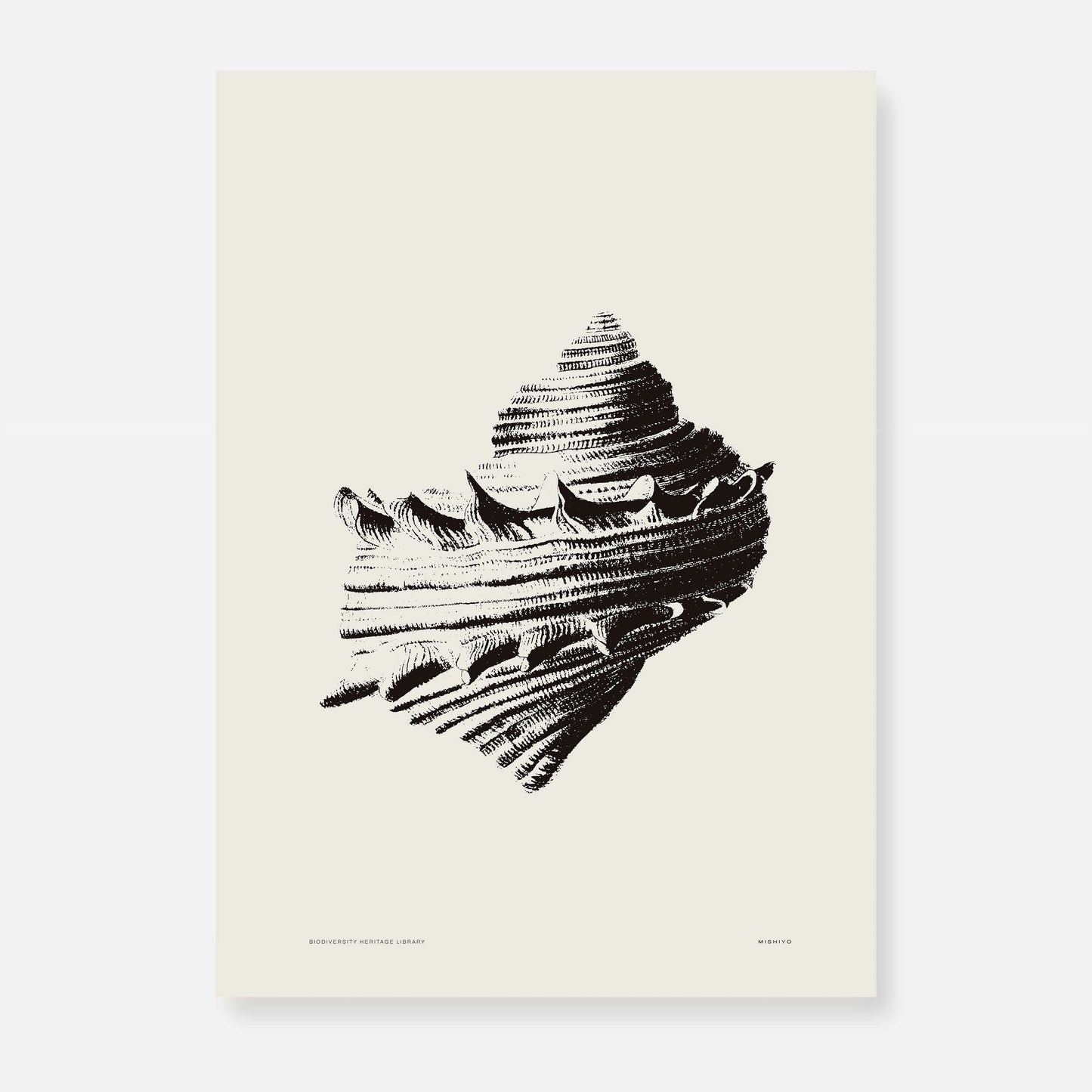 Coastal Drift | 12 | Fine Art Print