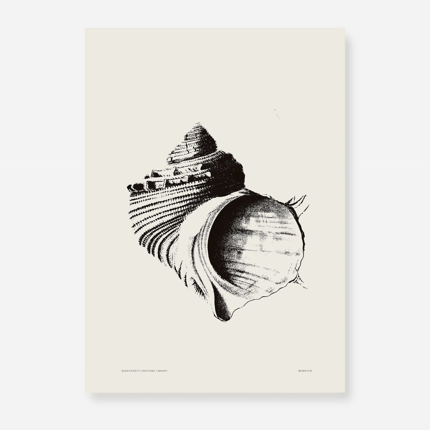 Coastal Drift | 13 | Fine Art Print