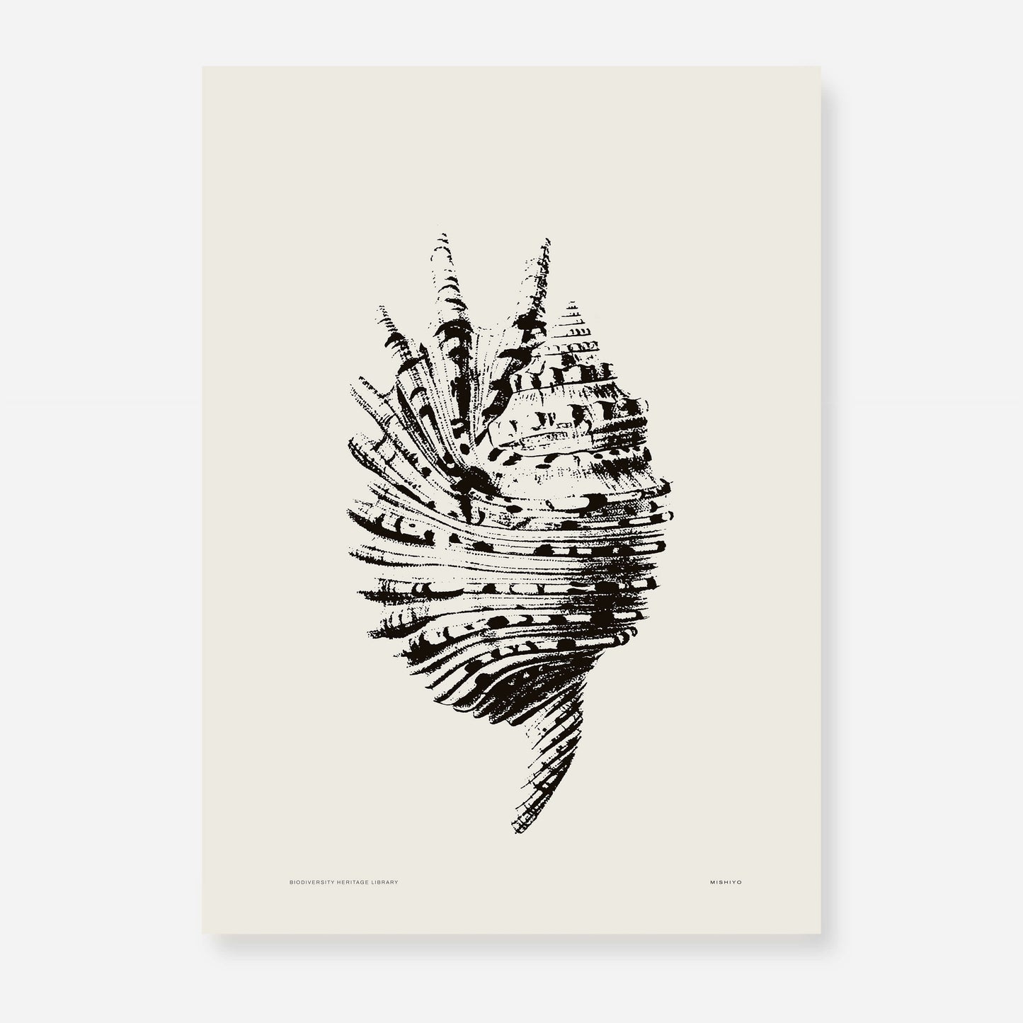 Coastal Drift | 17 | Fine Art Print