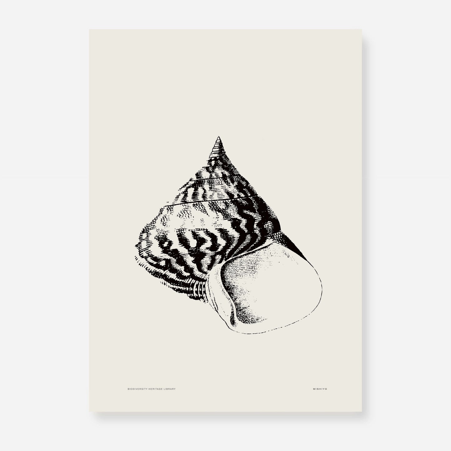 Coastal Drift | 18 | Fine Art Print