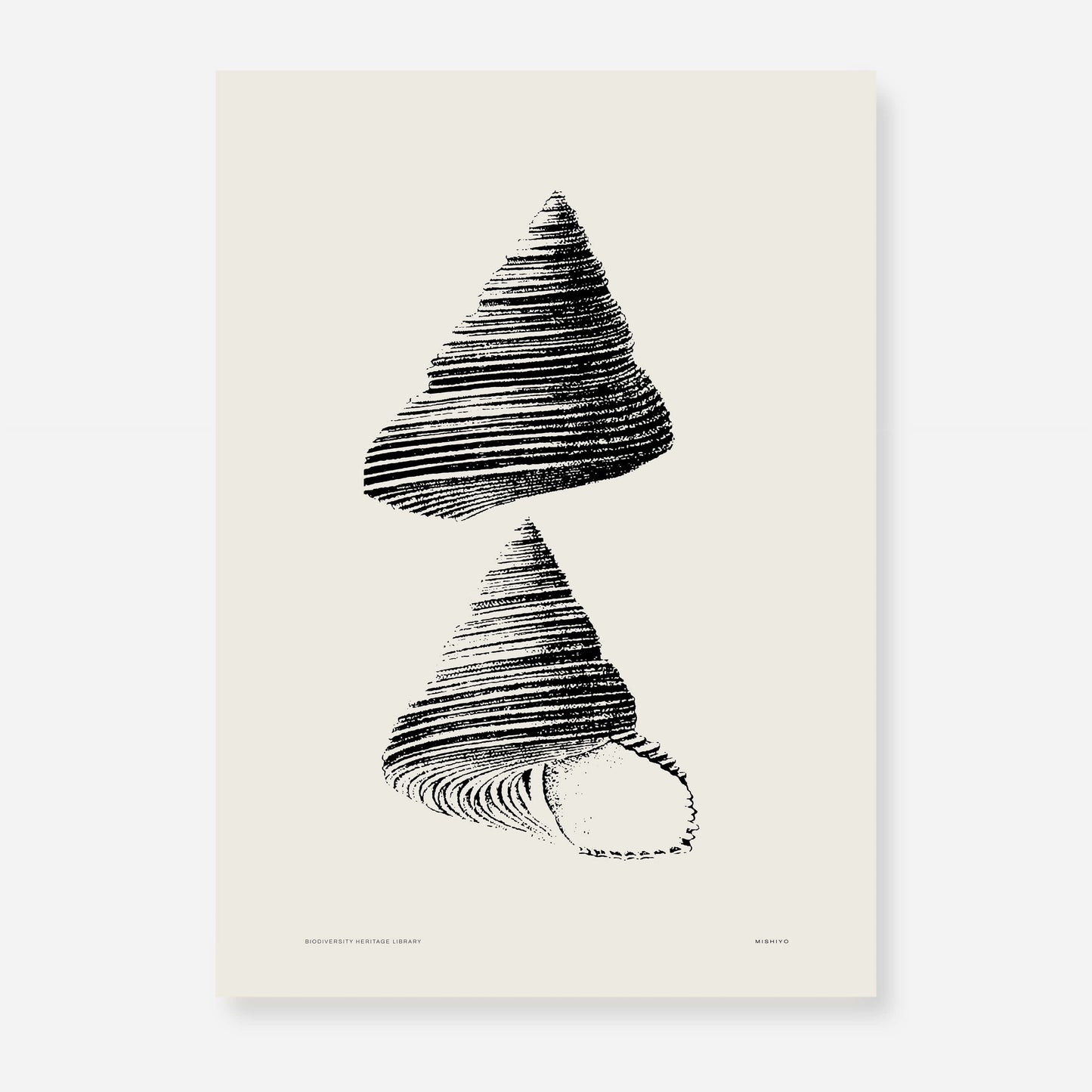 Coastal Drift | 01 | Fine Art Print