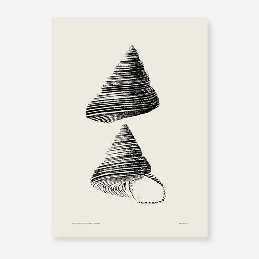 Coastal Drift | 01 | Fine Art Print