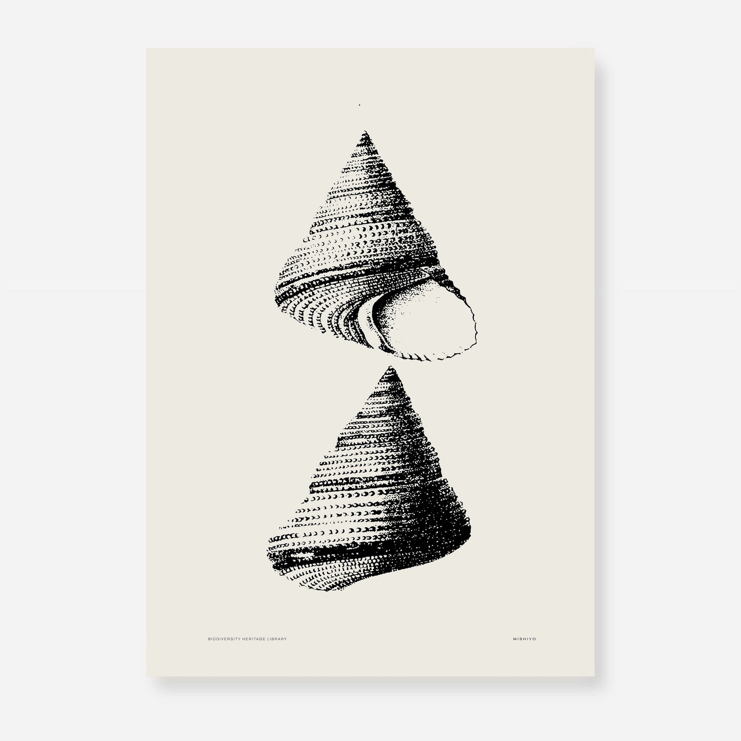 Coastal Drift | 02 | Fine Art Print