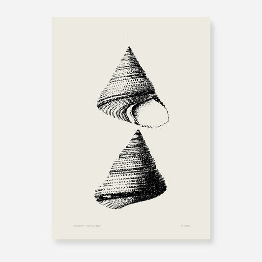 Coastal Drift | 02 | Fine Art Print