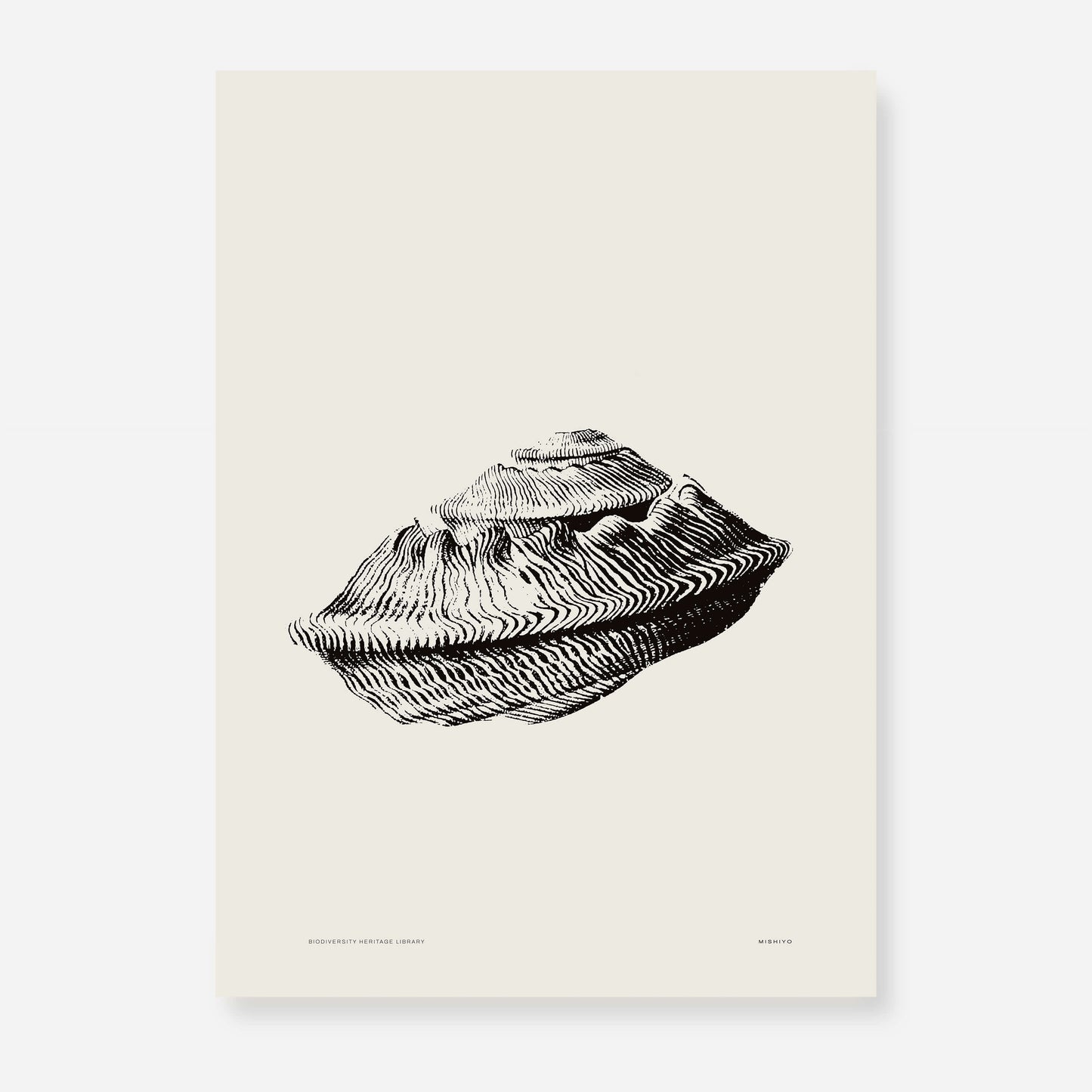 Coastal Drift | 21 | Fine Art Print