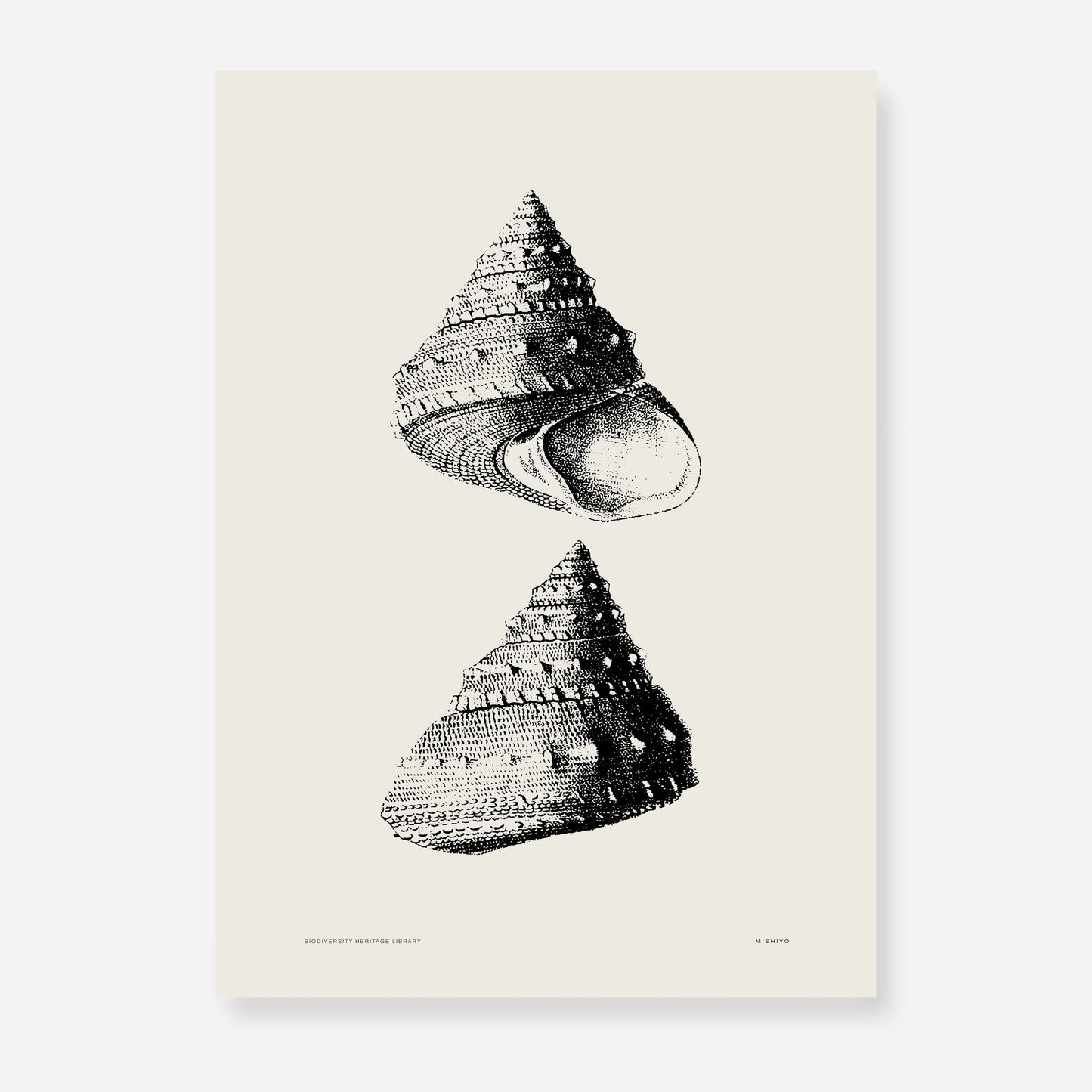 Coastal Drift | 03 | Fine Art Print