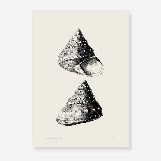 Coastal Drift | 03 | Fine Art Print