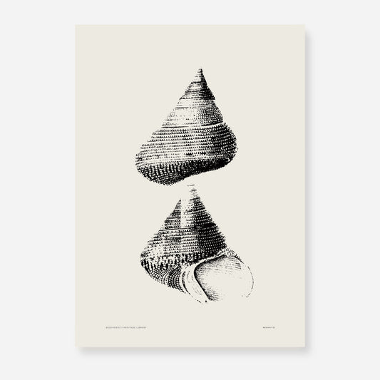 Coastal Drift | 04 | Fine Art Print