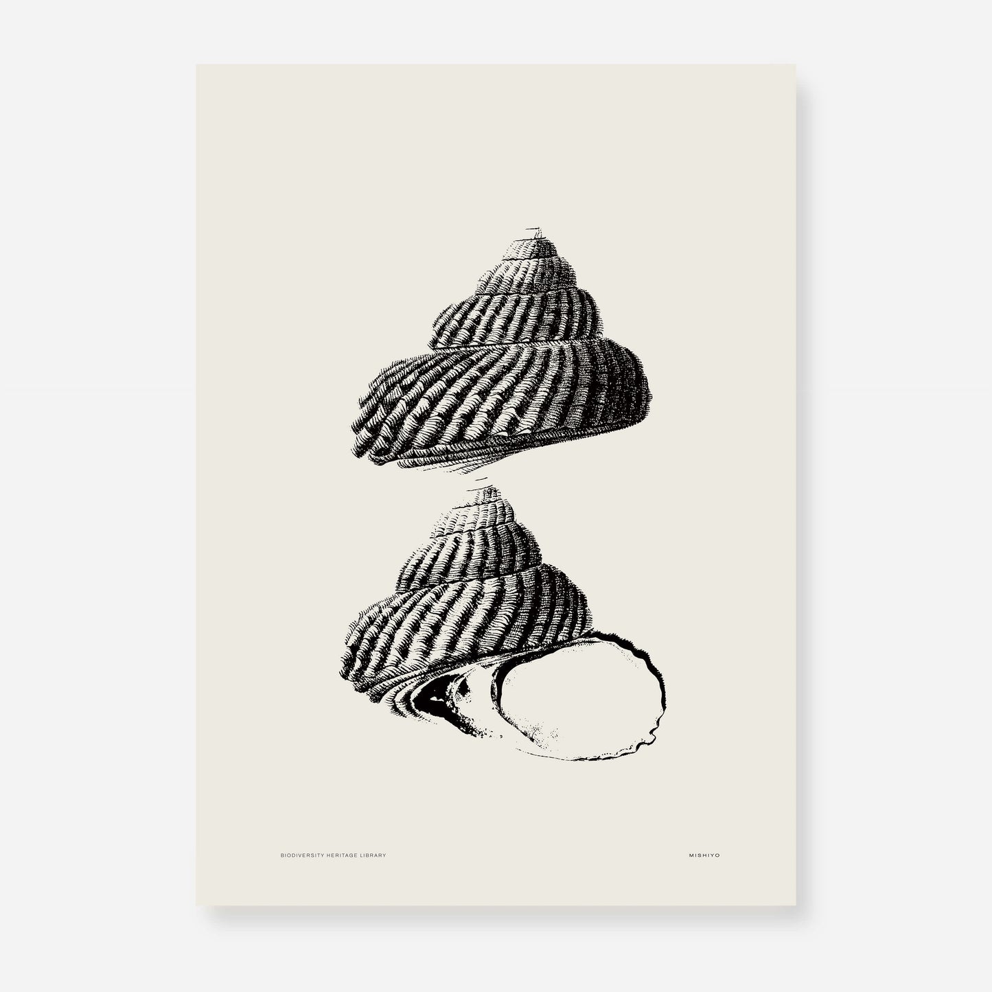 Coastal Drift | 05 | Fine Art Print