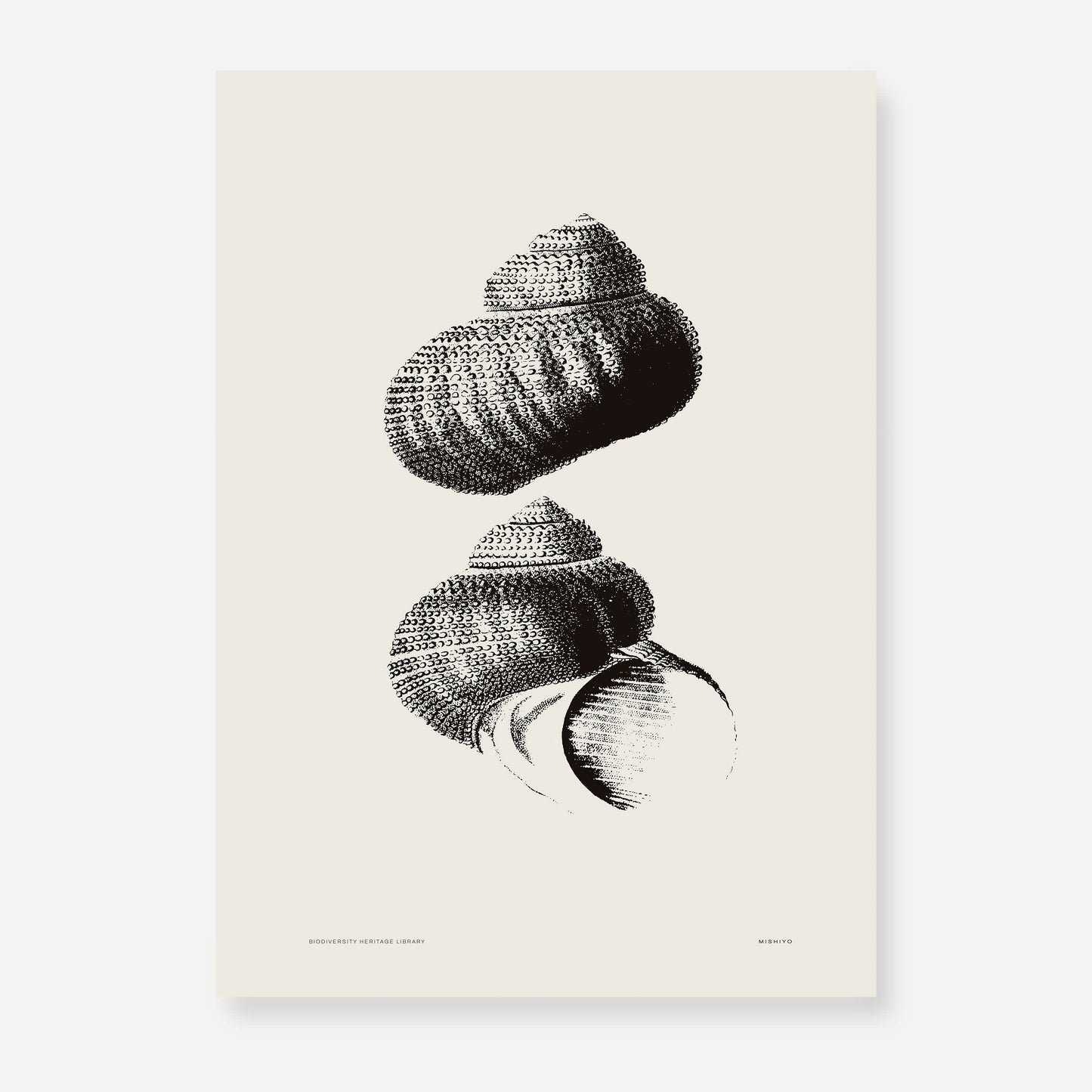 Coastal Drift | 06 | Fine Art Print