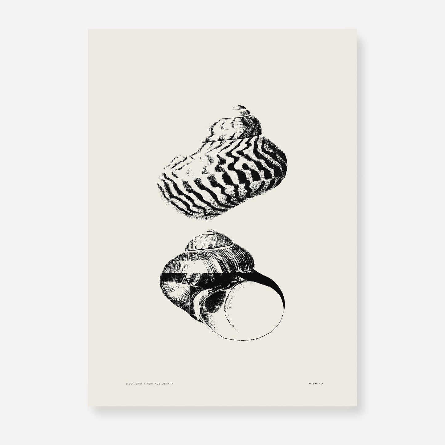 Coastal Drift | 07 | Fine Art Print