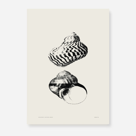 Coastal Drift | 07 | Fine Art Print