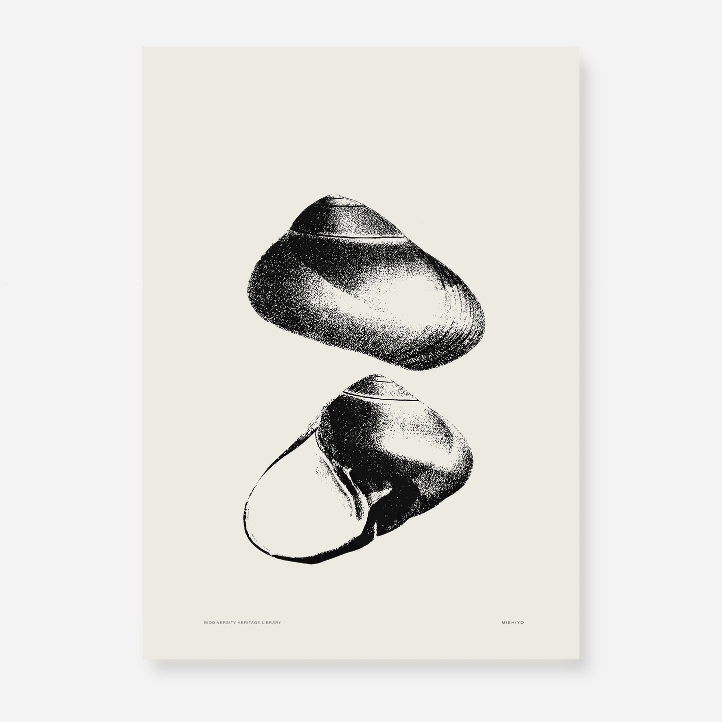 Coastal Drift | 08 | Fine Art Print