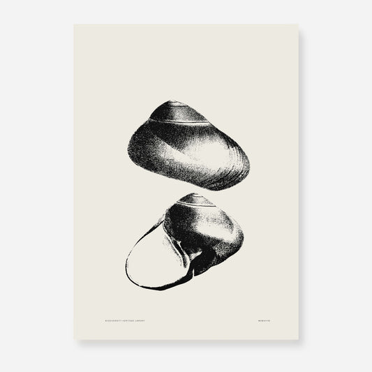 Coastal Drift | 08 | Fine Art Print
