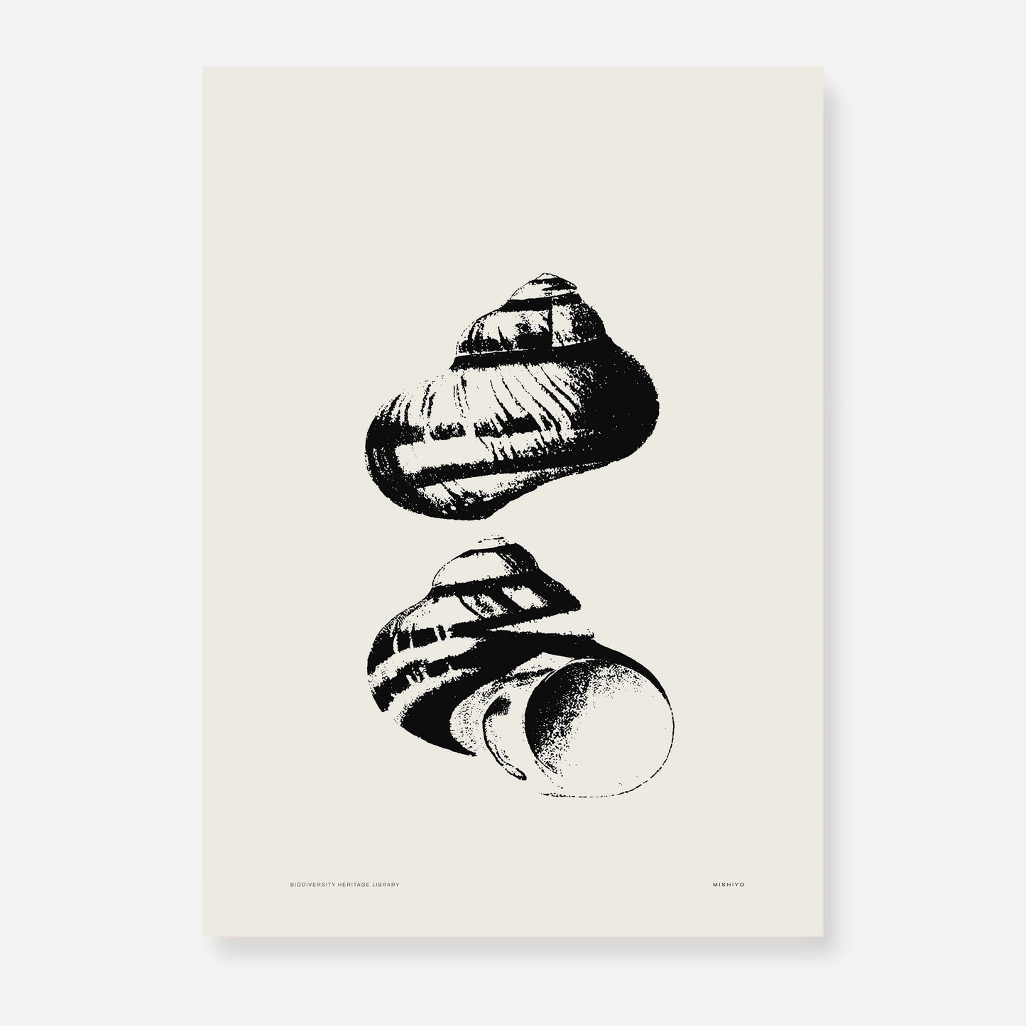 Coastal Drift | 09 | Fine Art Print