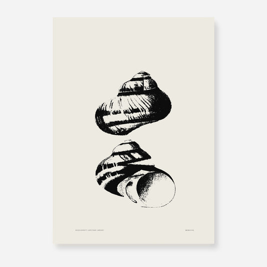 Coastal Drift | 09 | Fine Art Print